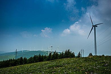 《空洞骑士：丝之歌》测试员保证本作并未陷入开发困境
